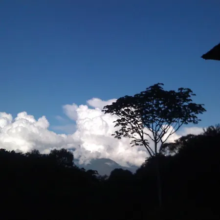 Refugio Madreselva